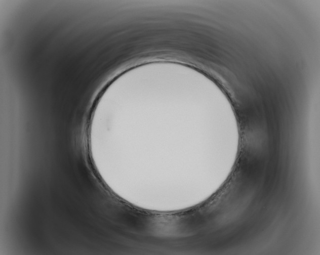 X0000094781514200711160840