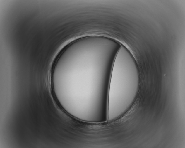 X0000094781515200711160840