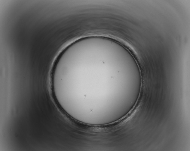 X0000094781517200711160840