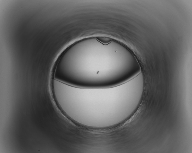 X0000094781518200711160840