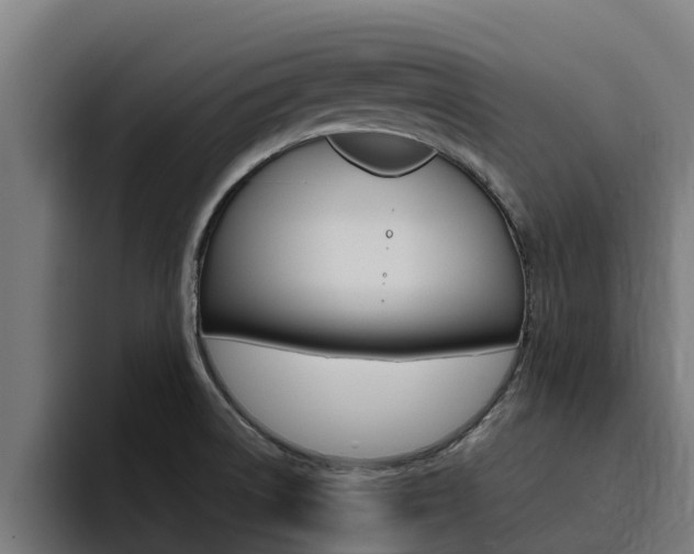 X0000094781522200711160840