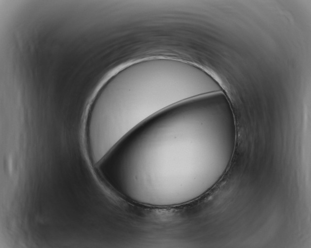 X0000094781523200711160840