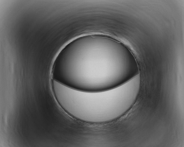 X0000094781524200711160840