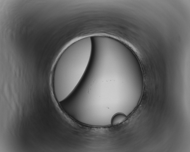 X0000094781526200711160840