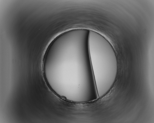X0000094781527200711160840