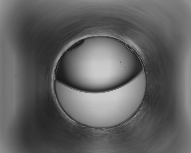 X0000094781528200711160840