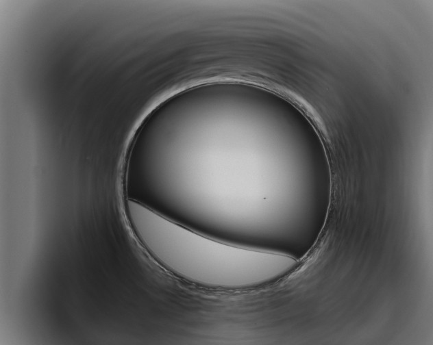 X0000094781530200711160840