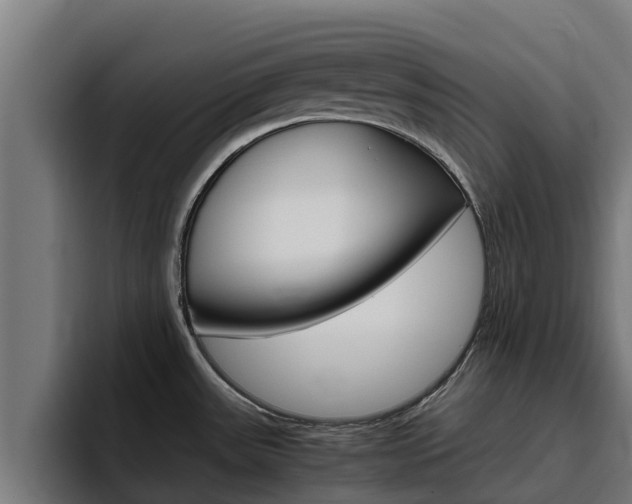 X0000094781531200711160840
