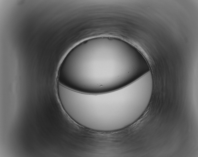 X0000094781532200711160840