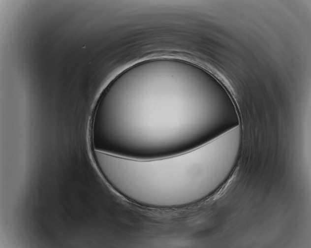 X0000094781533200711160840
