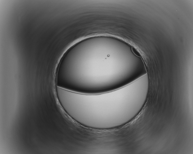 X0000094781534200711160840