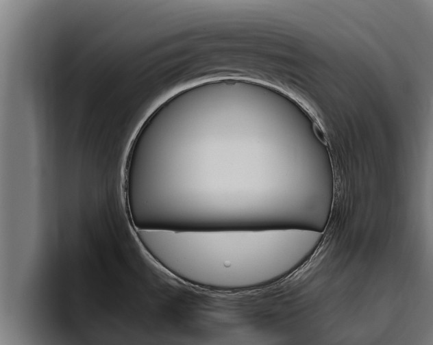 X0000094781535200711160840