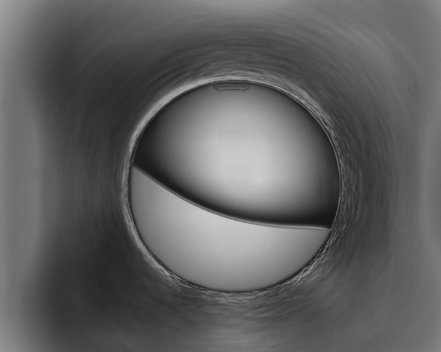 X0000094781536200711160840
