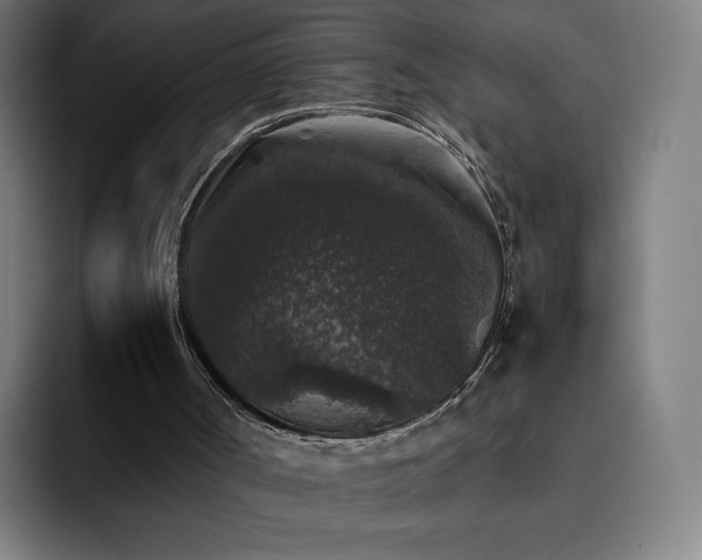 X0000094780002200711161425