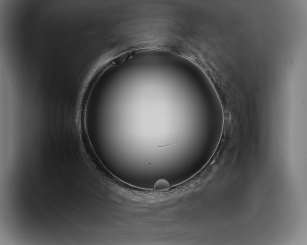 X0000094780006200711161425