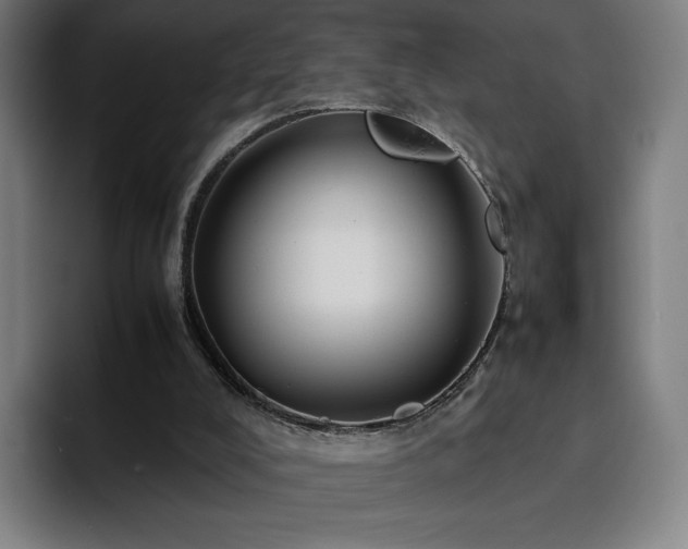 X0000094780008200711161425