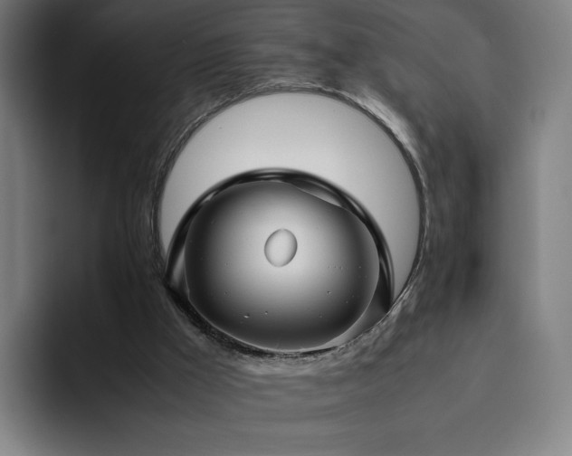 X0000094780009200711161425