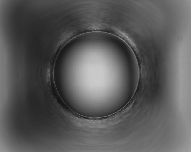X0000094780010200711161425