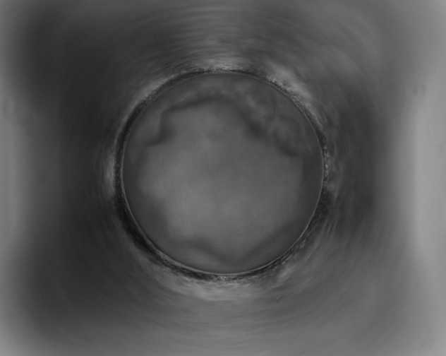 X0000094780012200711161425