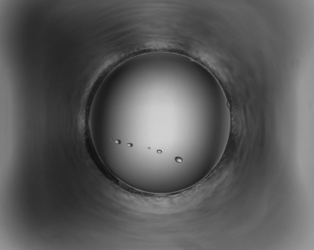 X0000094780015200711161425