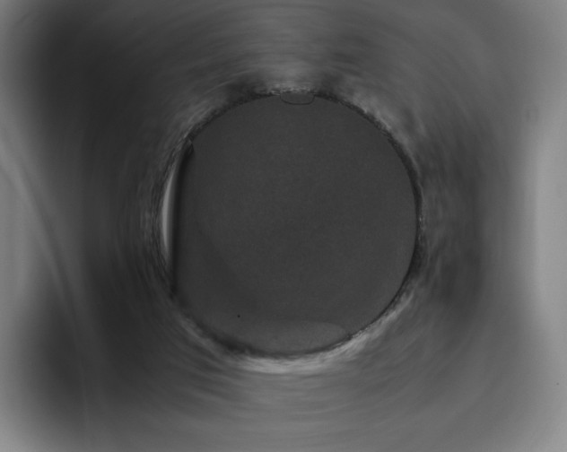 X0000094780017200711161425