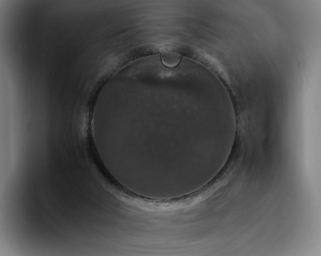 X0000094780018200711161425