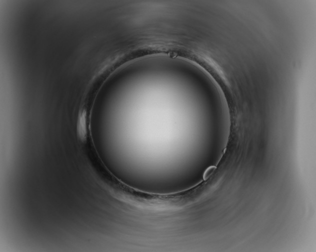 X0000094780020200711161425