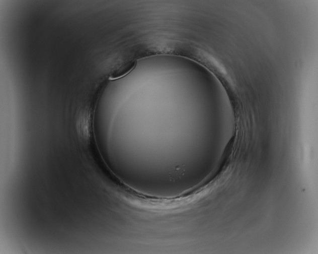 X0000094780023200711161425
