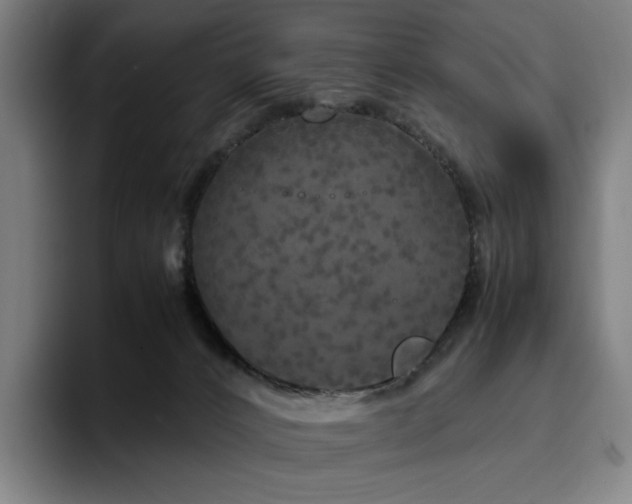X0000094780032200711161425