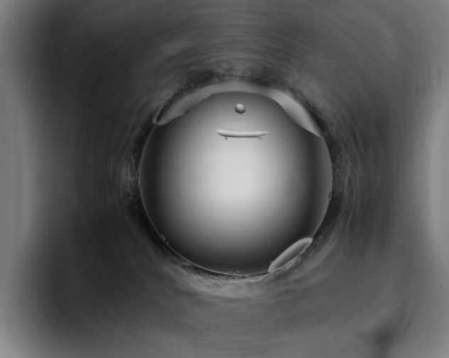 X0000094780040200711161425