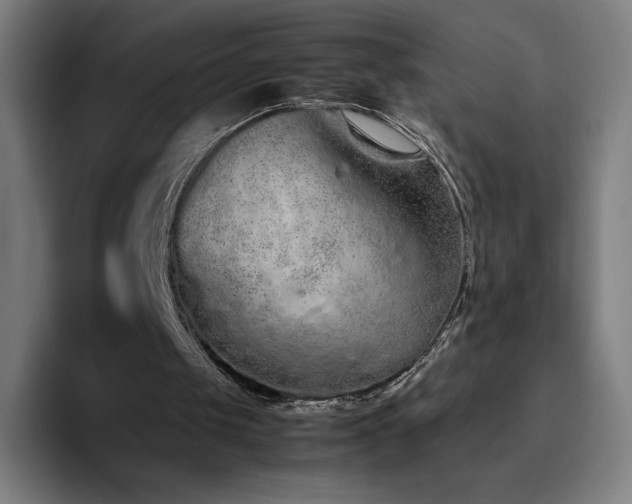X0000094780049200711161424