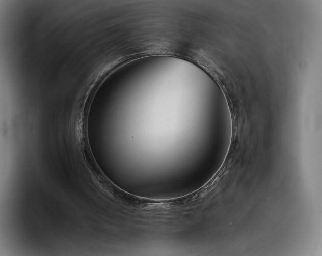 X0000094780050200711161424