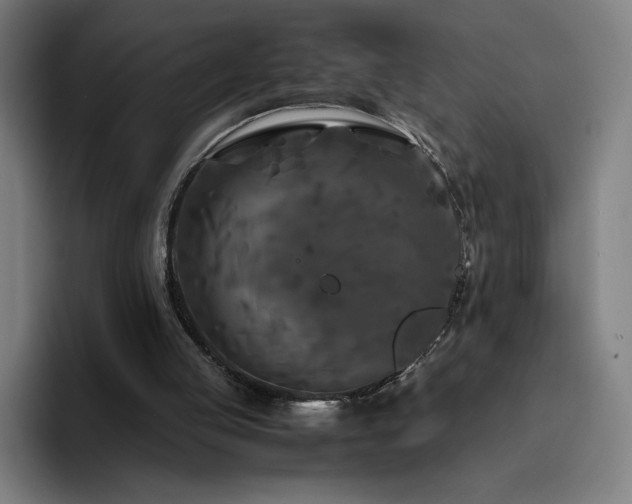 X0000094780053200711161424