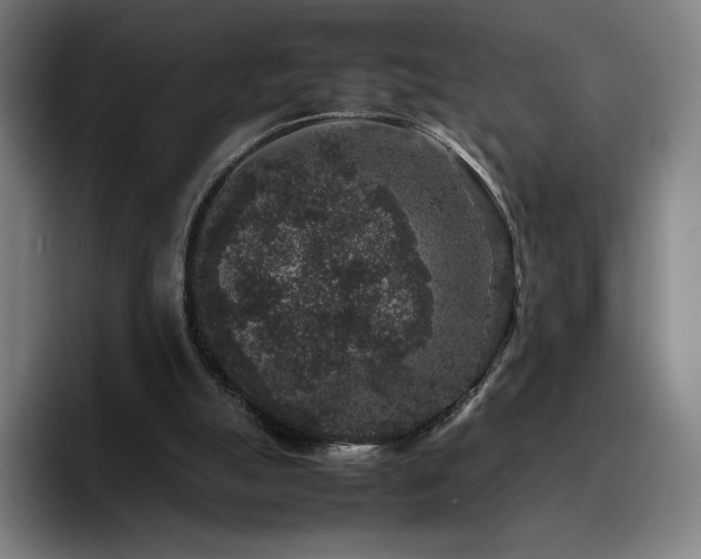 X0000094780055200711161424
