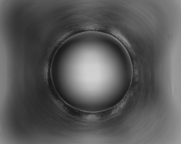 X0000094780058200711161424