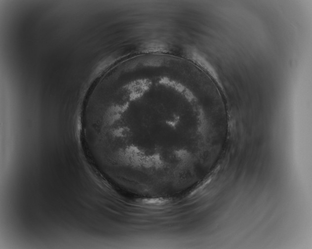 X0000094780059200711161424