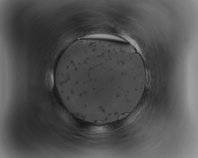 X0000094780061200711161424