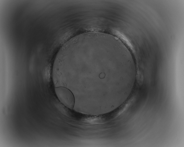 X0000094780065200711161424