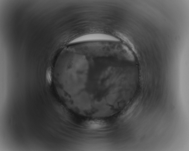 X0000094780069200711161424