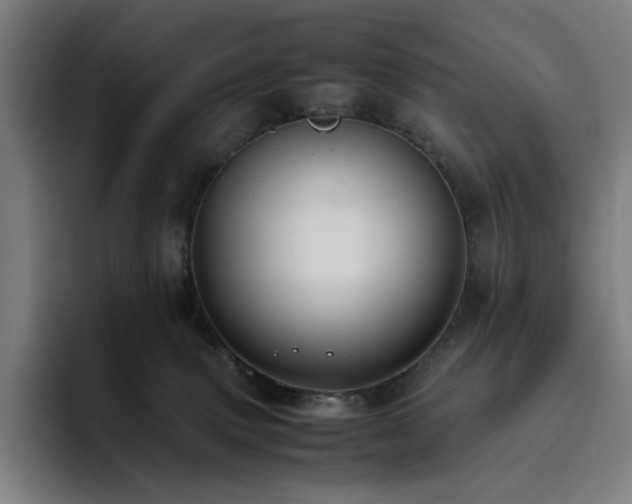 X0000094780083200711161425