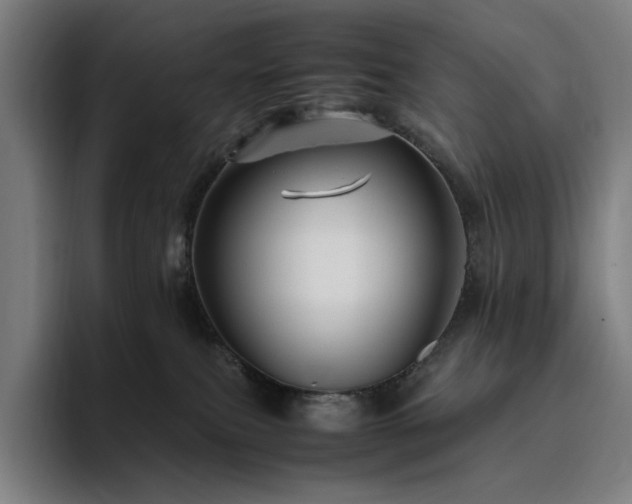 X0000094780087200711161425