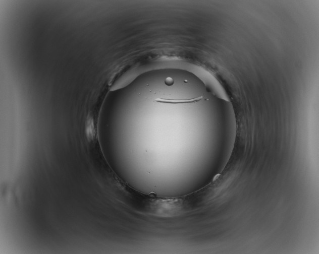 X0000094780089200711161425