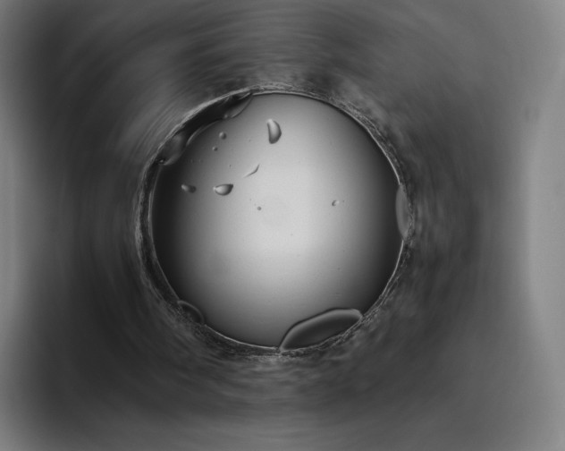 X0000094780098200711161424