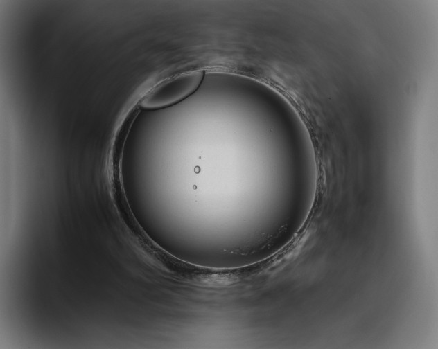 X0000094780102200711161424