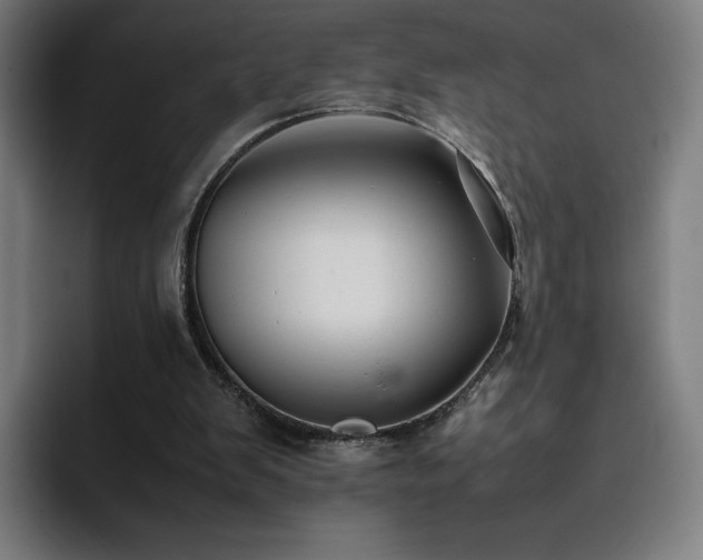 X0000094780103200711161424