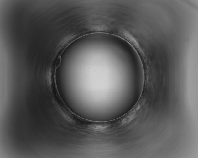 X0000094780106200711161424