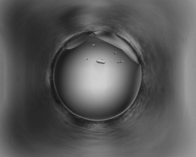 X0000094780107200711161424