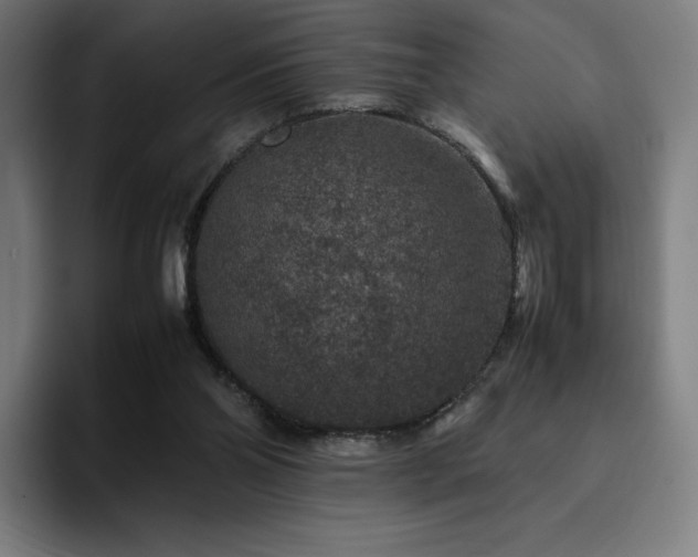 X0000094780110200711161424