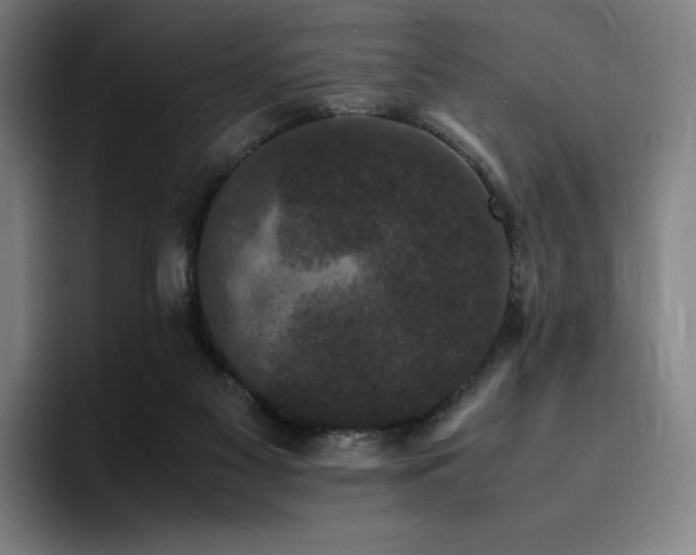 X0000094780117200711161424