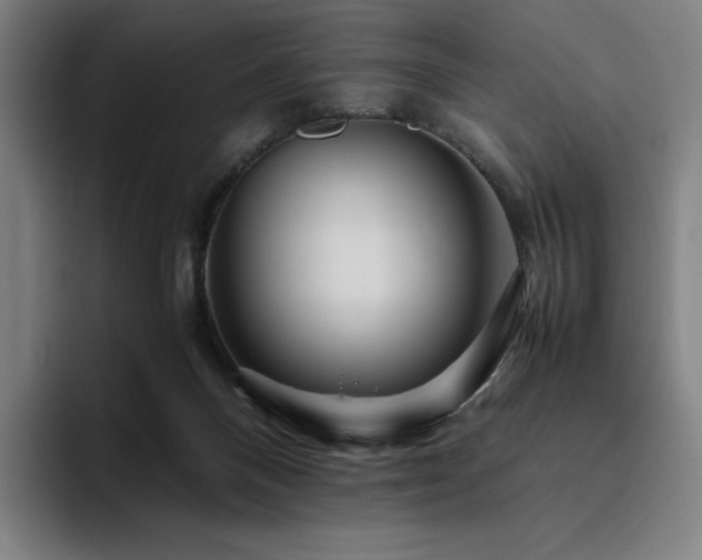 X0000094780120200711161424